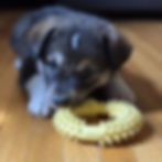Puff (2).jpeg