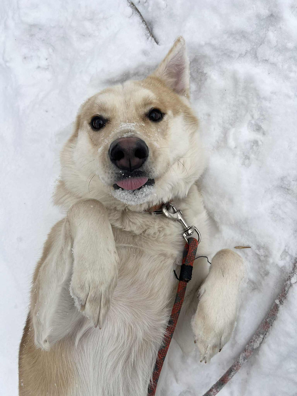 Breckenridge (2).jpg