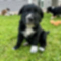 Loretta (1).jpeg