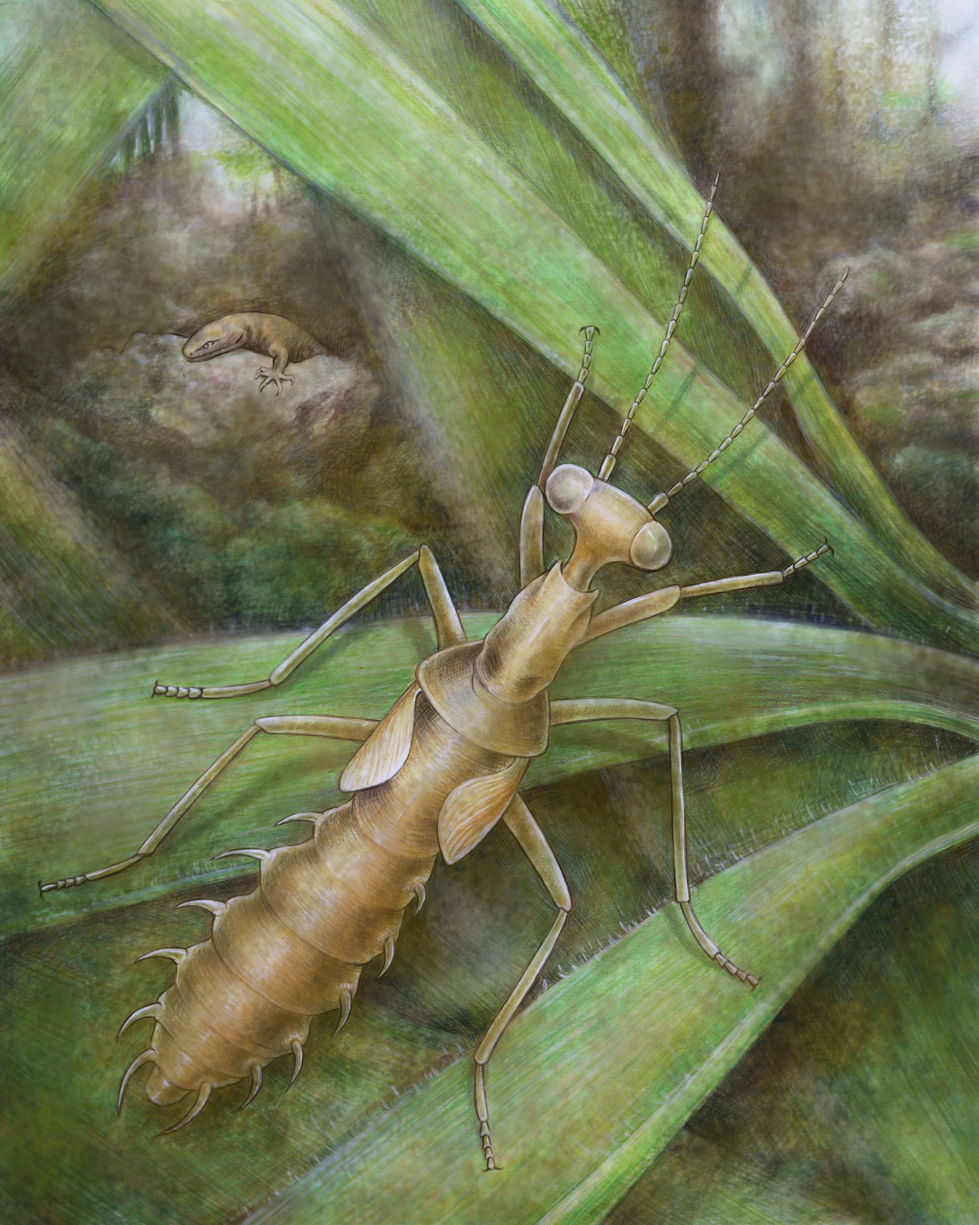 Pichliac_final_up_2_2