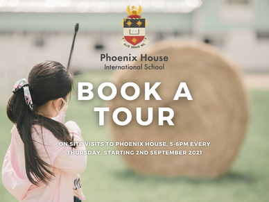 School Tours
