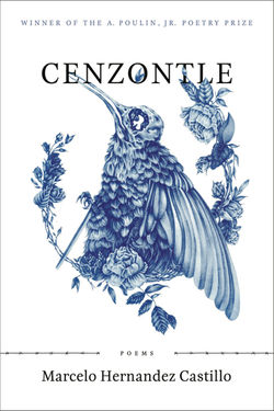 Cenzontle