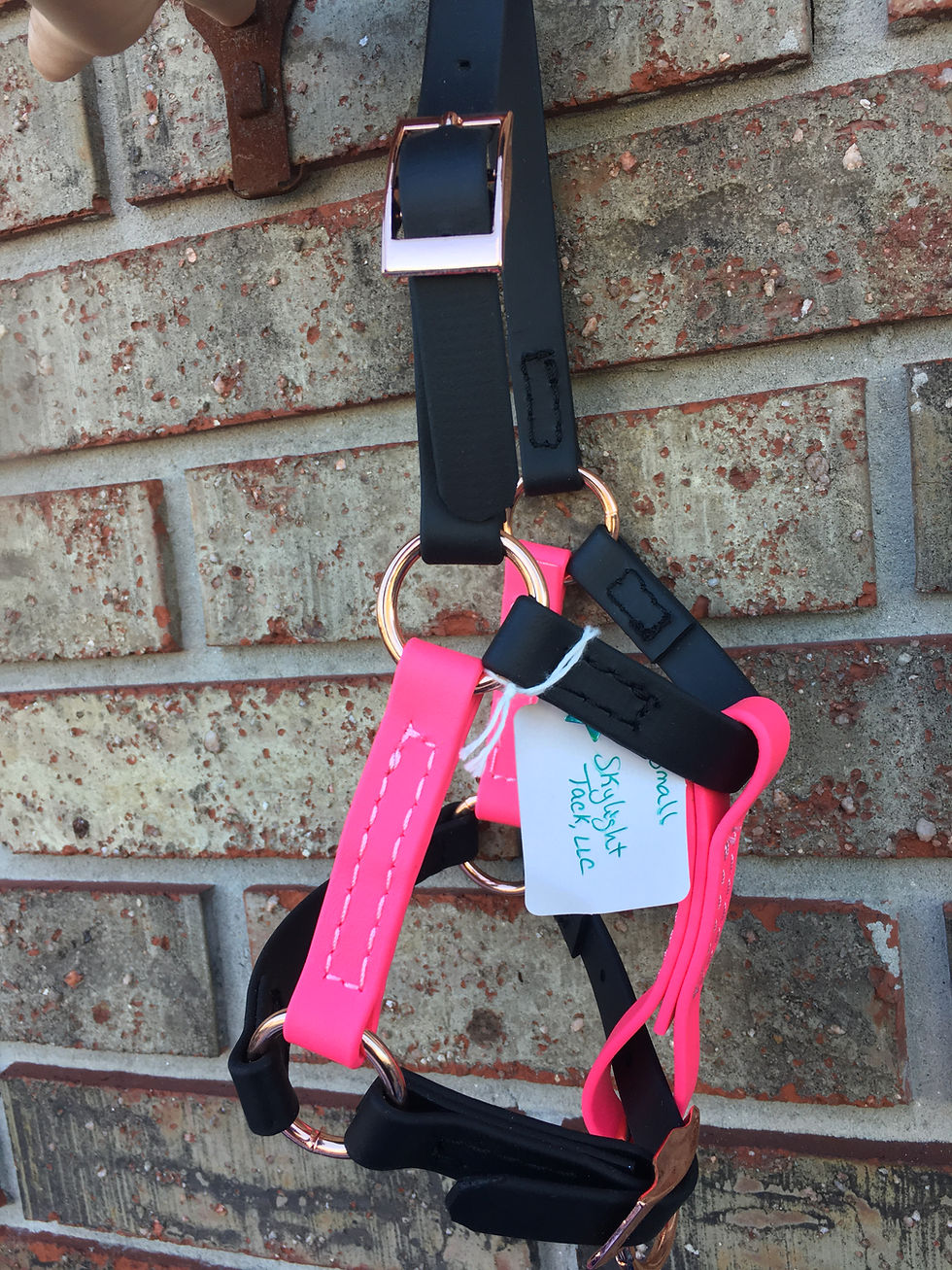 Thumbnail: 2 Color Halters