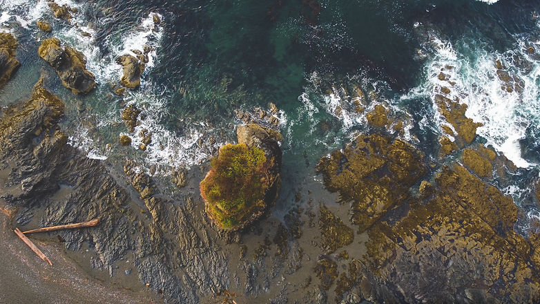 Coastline and island .jpg