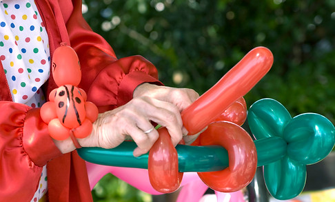 Ballon Making Animal par Clown Interprèt