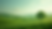 Exploring the Potential of Intentional Landscaping for Sustainable Practices in Alberta's Oil Industry