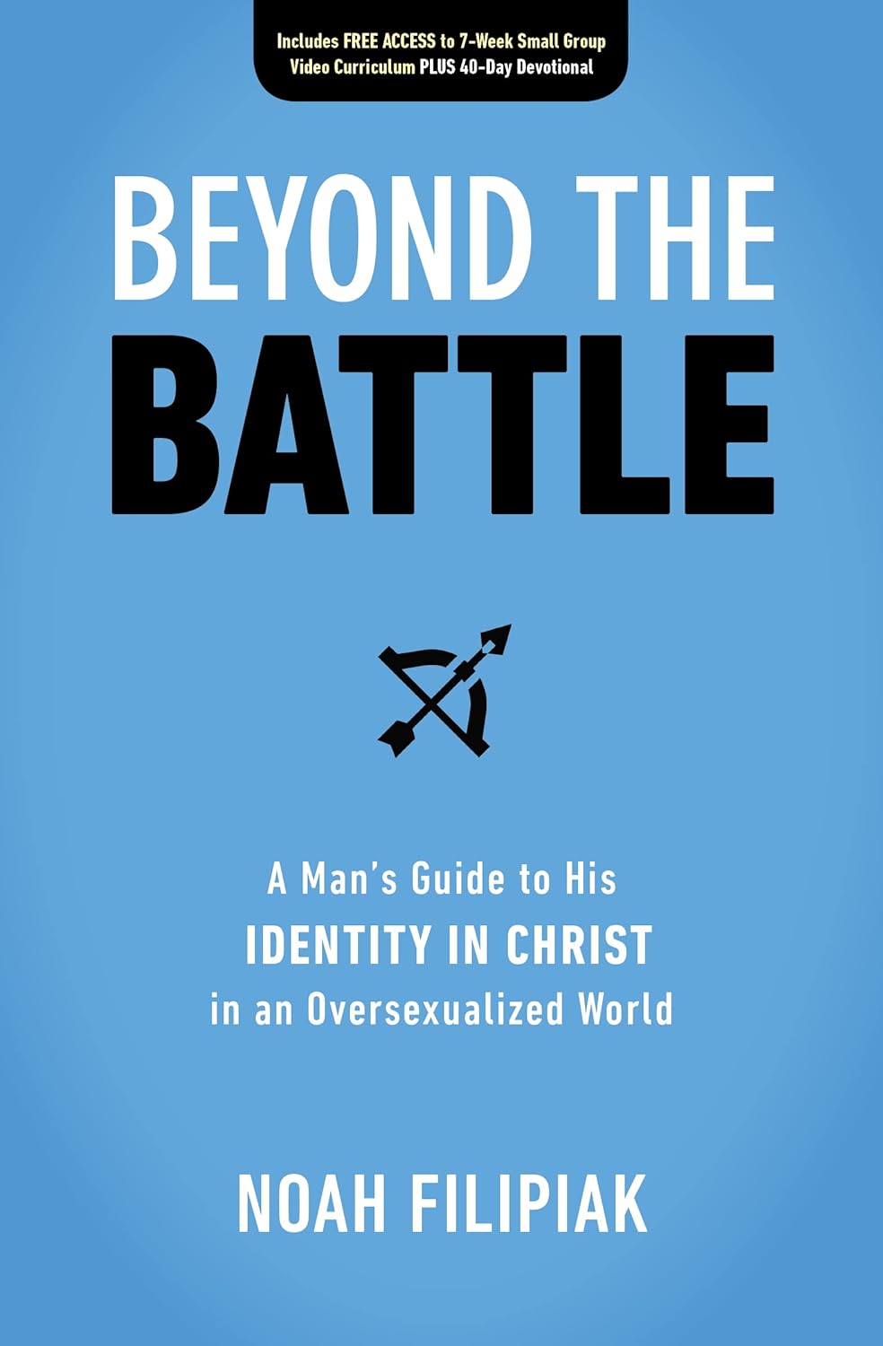Beyond the Battle A Man's Guide to His Identity in Christ in an Oversexualized W
