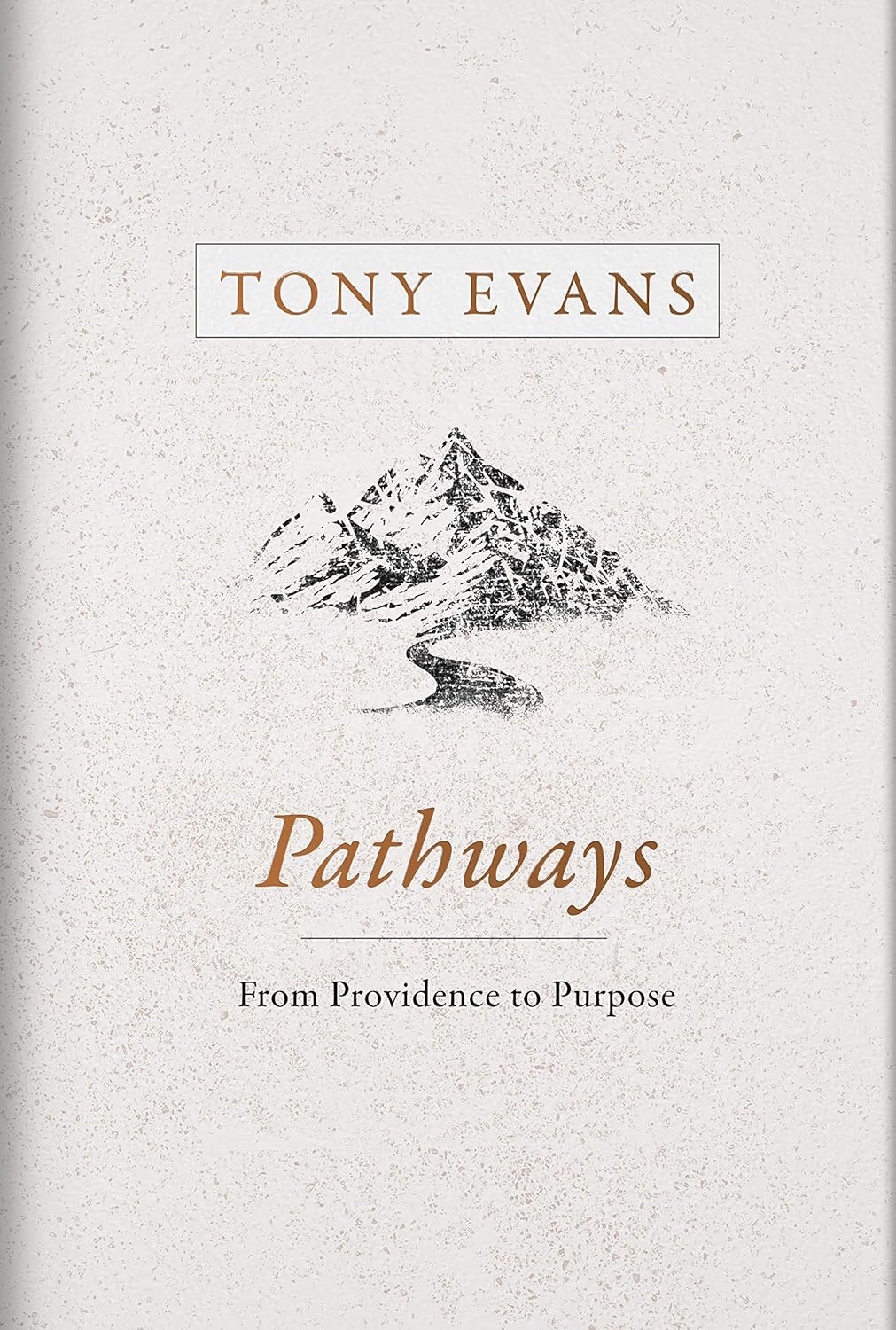 Pathways From Providence to Purpose