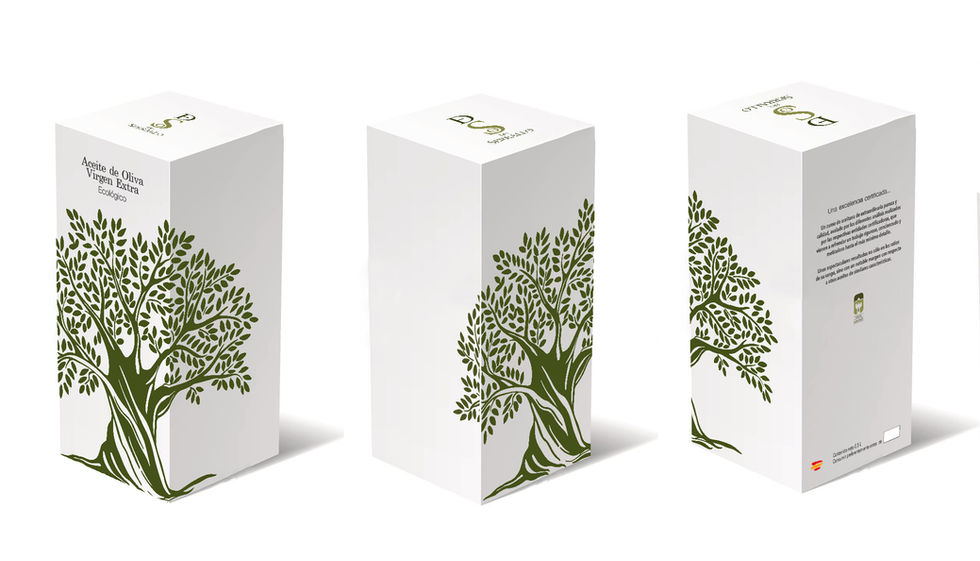 Packaging project