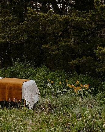 Espacio de masaje y bienestar en la naturaleza, representando contacto consciente, regulación emocional y neurobiología del t