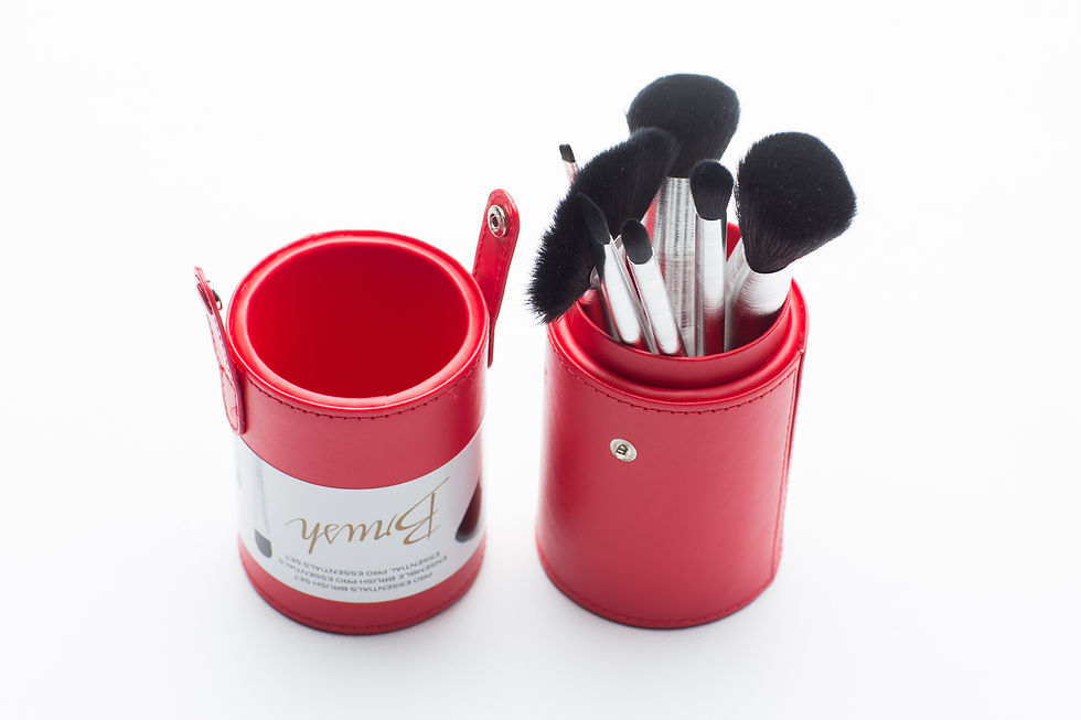 ProEssentialBrushSet2