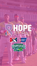 Hope at Bat (Instagram Story).png