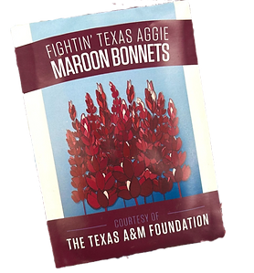 maroonbonnet 2_edited.png