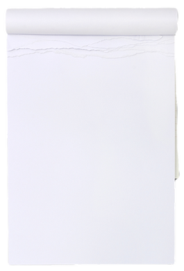 Blank Scratchbook_edited.png