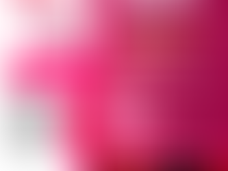 1ST LIBERIAN WOMEN IN BUSINESS DIALOGUE 