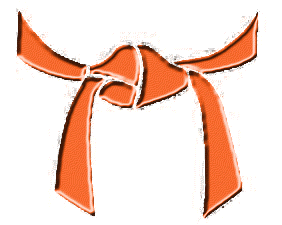 ISLAND KENPO - ORANGE BELT