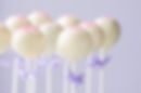 Cake Pops by the Dozen