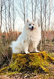 20250201_162009_edited.jpg