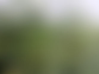 Vrishya Gutika, ou “tabletes afrodisíacos”