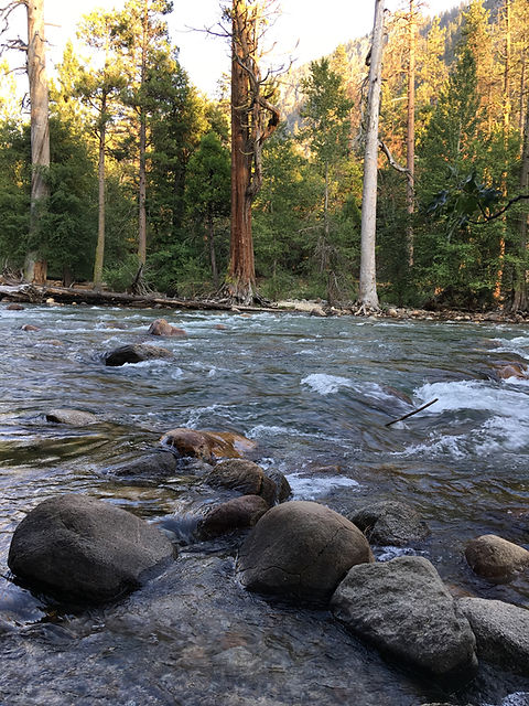picture of stream.JPG