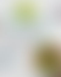 Invista em ALIMENTAÇÃO DE QUALIDADE para sua equipe e veja os resultados!