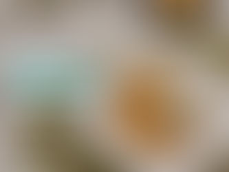 Uma EXPLOSÃO DE SABORES em cada mordida