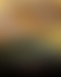 Comida caseira em grande escala, sem abrir mão do sabor.