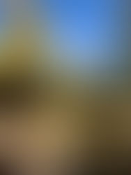 The Aspens’ Ascension: A Birthday Reflection on the True Meaning of Ascension