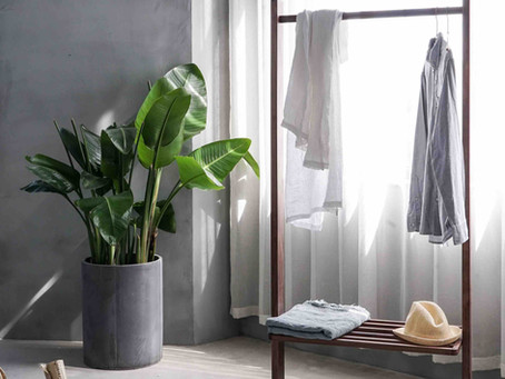 Top 3 Spring Cleaning Tips for Your Mind, Body, and Space