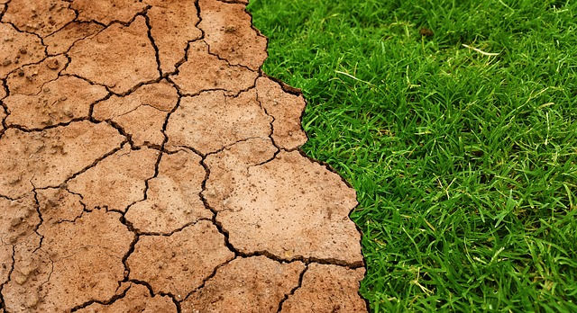 Cambio climático en 20'