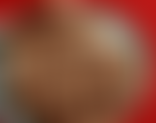 Pane integrale di Babbo Natale