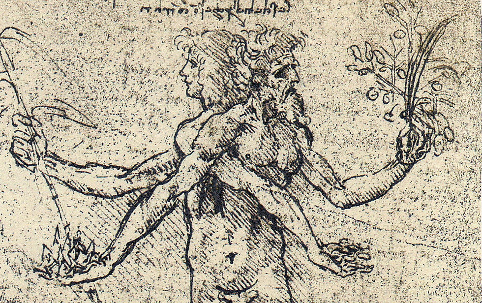 Ilustração da androginia por Leonardo da Vinci.