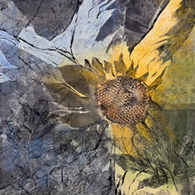 Summer Stalwart-Monotype-$425 - 21.5X21.5