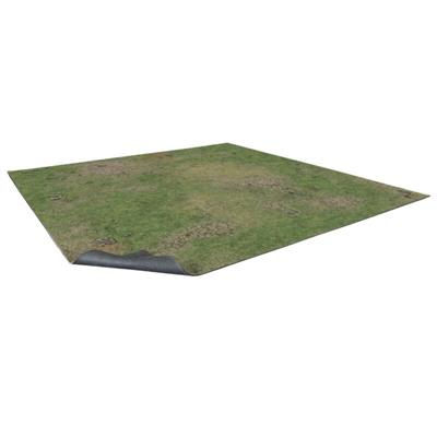Pezzo di terreno erboso isolato, con erba verde e chiazze secche.
