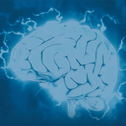 Your Wild and Precious Life