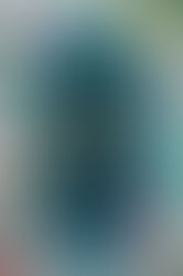 A Curse For True Love by Stephanie Garber