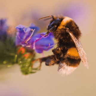 The Things I Still Don't Know