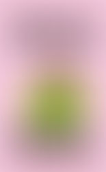 Greta and Valdin by Rebecca K Reilly