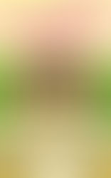 Good Things by Kate Macdougall