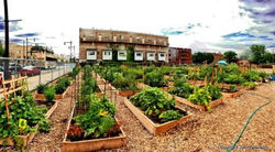 Jon-Petersons-peterson-garden-project-360x200