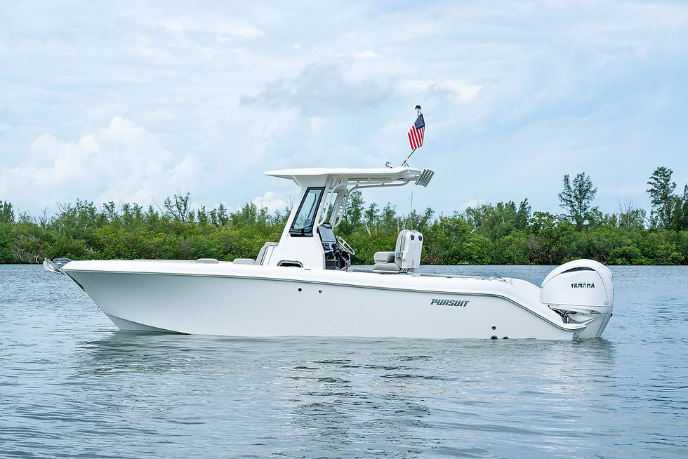 2023 Pursuit S 248