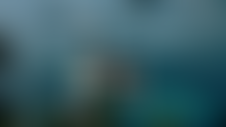 The Top 5 Recreational Boating Countries in the World