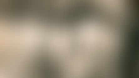 Innovators in Boating - Orin Edson & Bayliner 