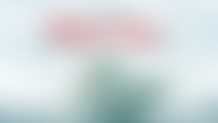 Boston Whaler WhalerStep