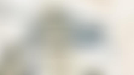 My Story From the Demise of OMC