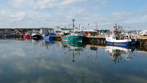 boating new brunswick