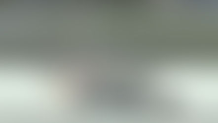 San Francisco Cracks Down on Piracy as Arrests Made