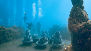 Resting Reef ocean memorial