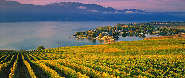 Okanagan Lake Winery Kelowna British Columbia