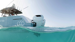 Cox Marine Reaches 350 Horsepower with Emerging V8 Diesel Outboard 